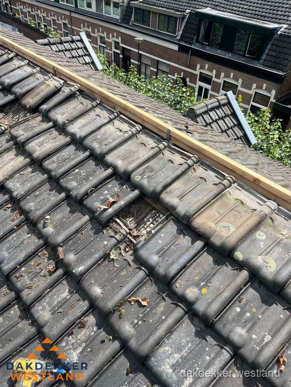 Dakonderhoud aan schuin pannendak met nokvernieuwing in Westland Dakonderhoud aan schuin pannendak met nokvernieuwing in Westland