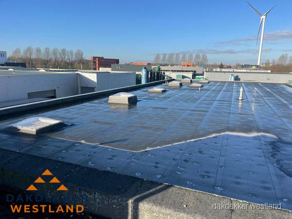 Plat dak bedrijfspand met bitumen dakbedekking en lichtkoepels in Westland Plat dak bedrijfspand met bitumen dakbedekking en lichtkoepels in Westland