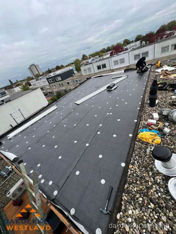 Dakleer vervangen op groot plat dak door dakdekker in Westland Dakleer vervangen op groot plat dak door dakdekker in Westland