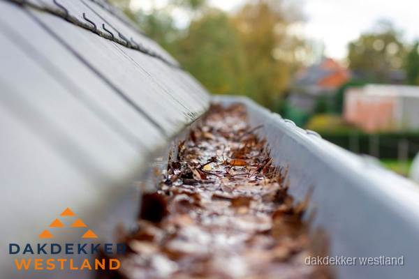 Verstopte dakgoot met bladeren schoonmaken in Westland Verstopte dakgoot met bladeren schoonmaken in Westland