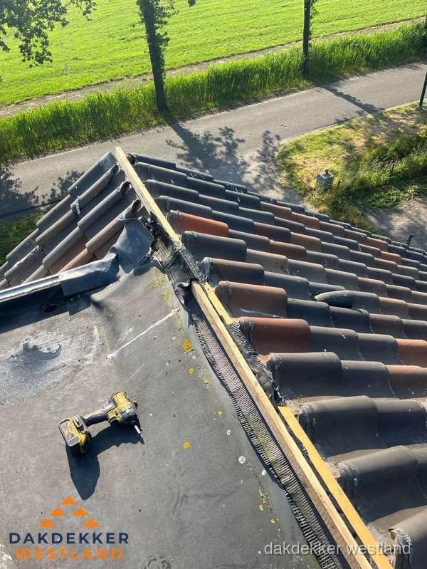 Kosten dakgoot vervangen: werkzaamheden aan dakrand in Westland