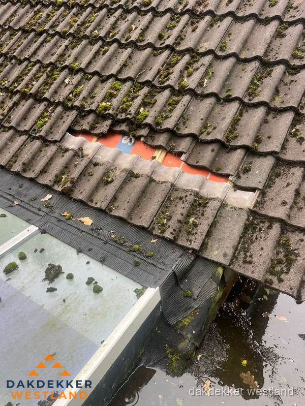 Beschadigd pannendak met ontbrekende dakpannen voor reparatie in Westland Beschadigd pannendak met ontbrekende dakpannen voor reparatie in Westland