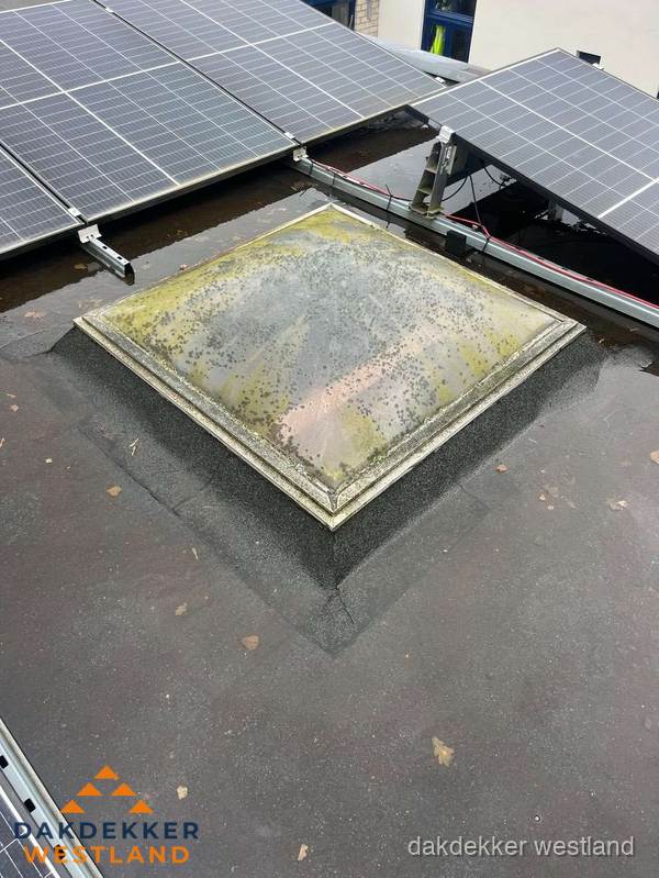 Vervuilde lichtkoepel op plat dak met zonnepanelen in Westland Vervuilde lichtkoepel op plat dak met zonnepanelen in Westland