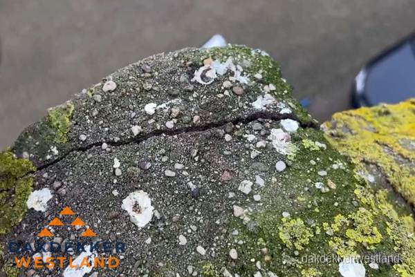 Beschadigde en verweerde nokvorst met scheuren en mos in Westland Beschadigde en verweerde nokvorst met scheuren en mos in Westland