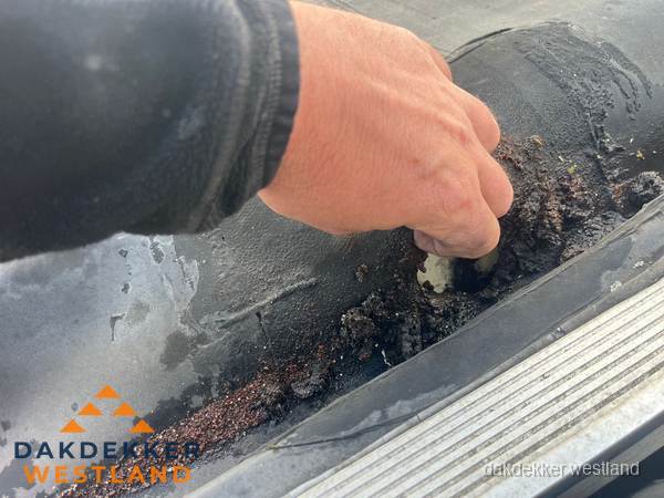 Schade aan bitumen dakbedekking op plat dak in Westland Schade aan bitumen dakbedekking op plat dak in Westland